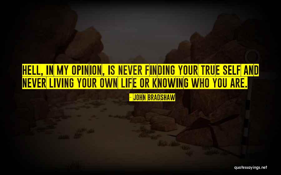 Ijousha Quotes By John Bradshaw Ijousha Quotes By John Bradshaw