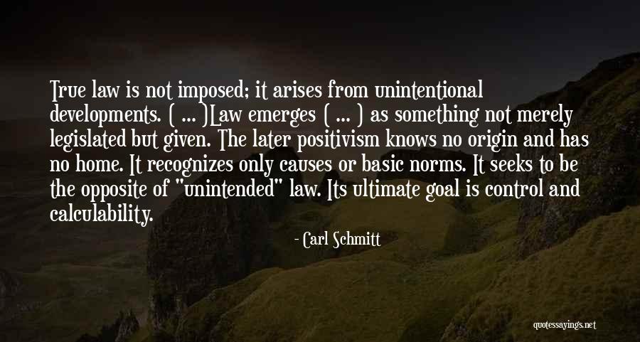 Ijuin Fly Rods Quotes By Carl Schmitt Ijuin Fly Rods Quotes By Carl Schmitt