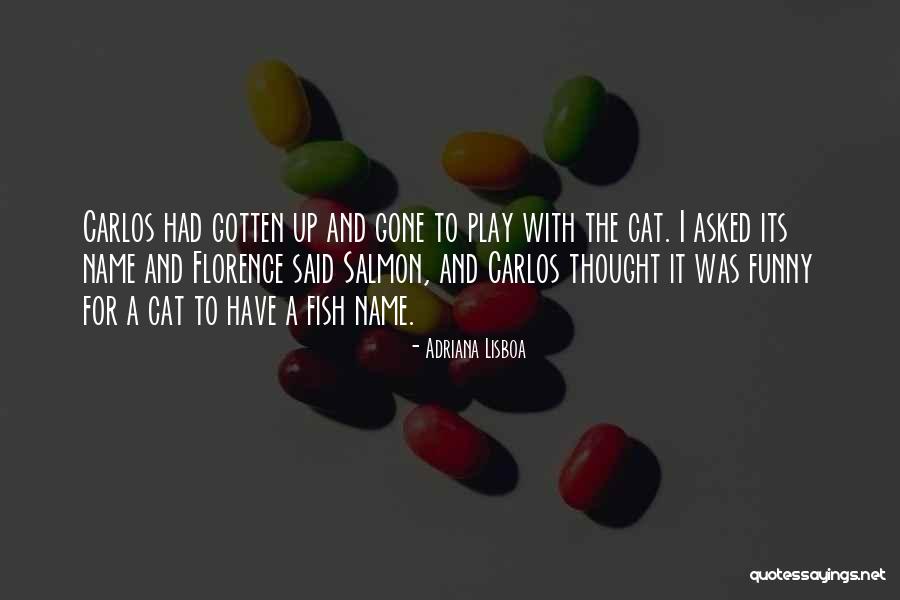 Ik Wil Je Terug Quotes By Adriana Lisboa Ik Wil Je Terug Quotes By Adriana Lisboa