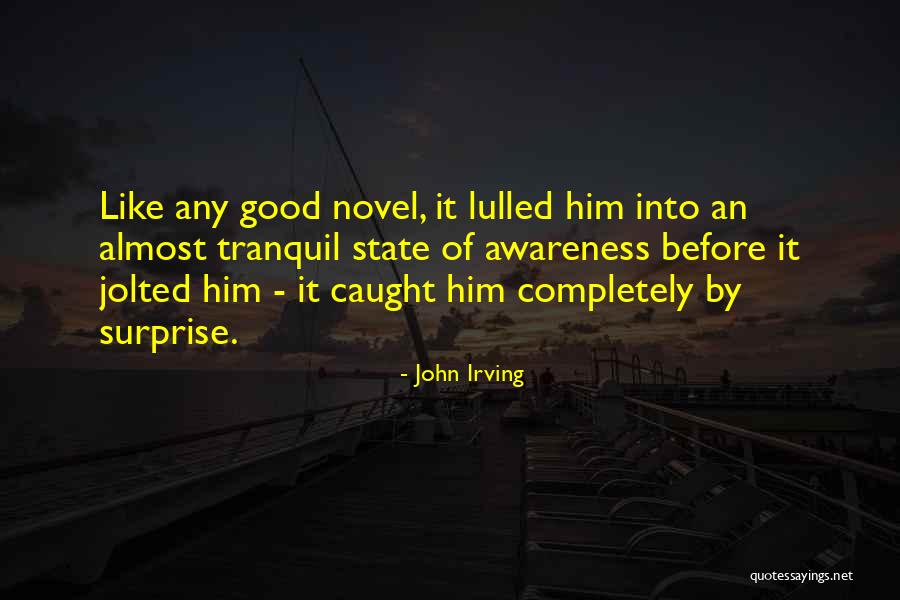 Ik Wil Je Terug Quotes By John Irving Ik Wil Je Terug Quotes By John Irving
