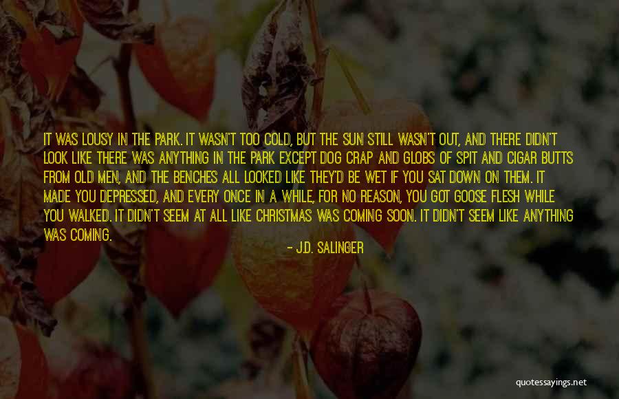 Ike Brawl Quotes By J.D. Salinger Ike Brawl Quotes By J.D. Salinger