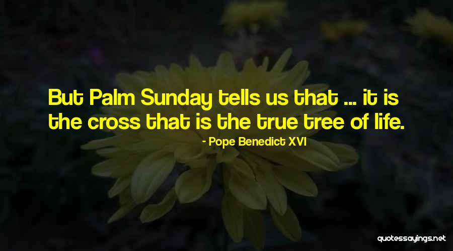 Ike Opene Quotes By Pope Benedict XVI Ike Opene Quotes By Pope Benedict XVI