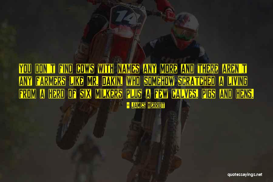 Ikesaki Lojas Quotes By James Herriot