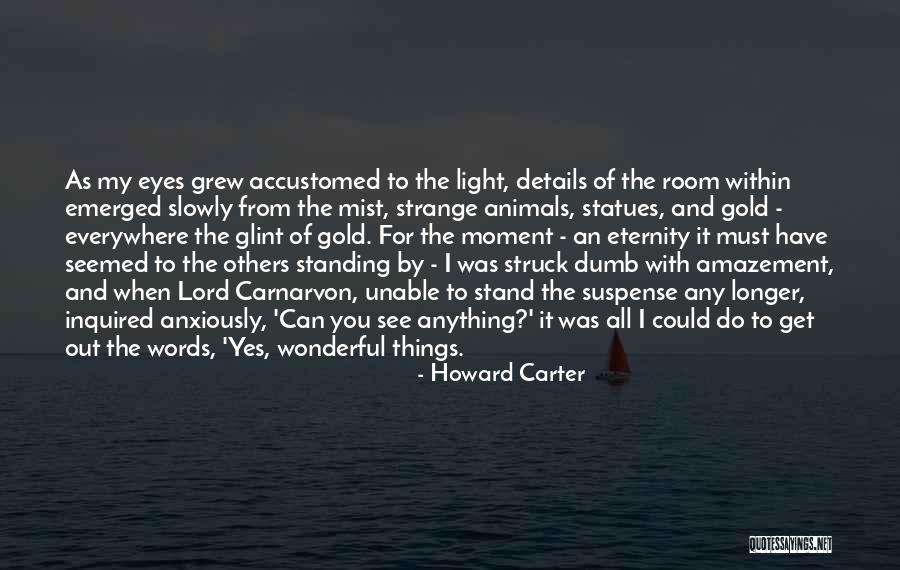 Ikizimin Quotes By Howard Carter Ikizimin Quotes By Howard Carter