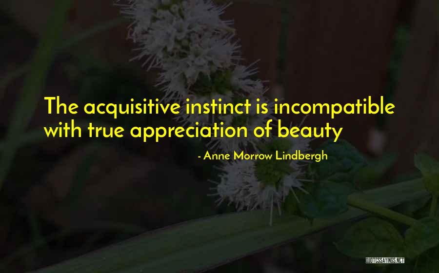 Il Deserto Rosso Quotes By Anne Morrow Lindbergh Il Deserto Rosso Quotes By Anne Morrow Lindbergh
