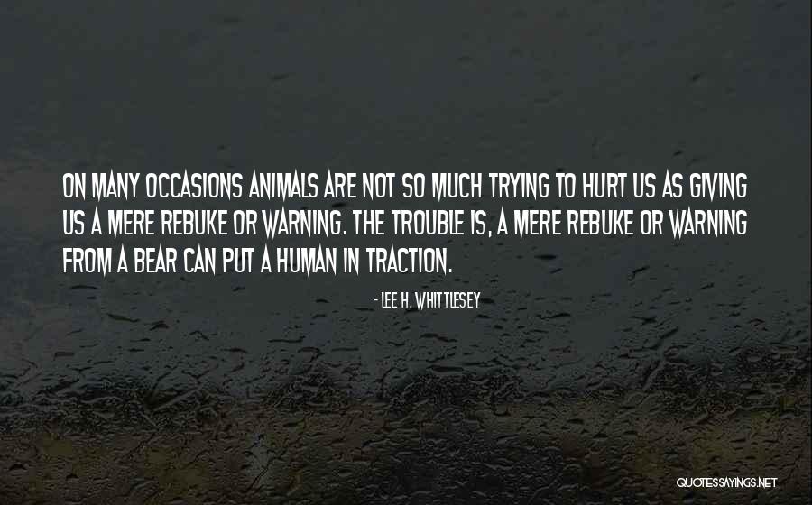 Ilactation Quotes By Lee H. Whittlesey Ilactation Quotes By Lee H. Whittlesey