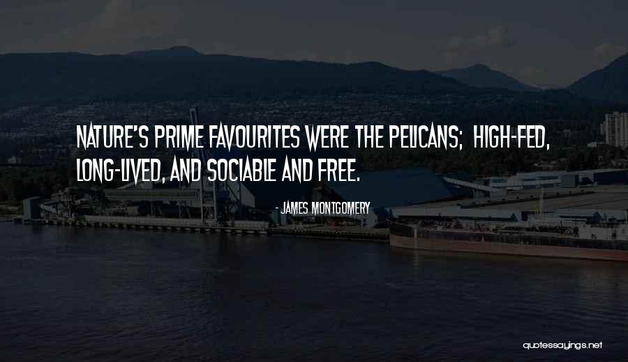 Ilaka Quotes By James Montgomery Ilaka Quotes By James Montgomery