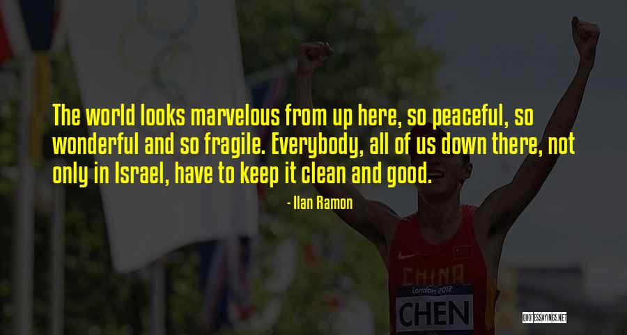 Ilan Ramon Quotes 279571 Ilan Ramon Quotes 279571