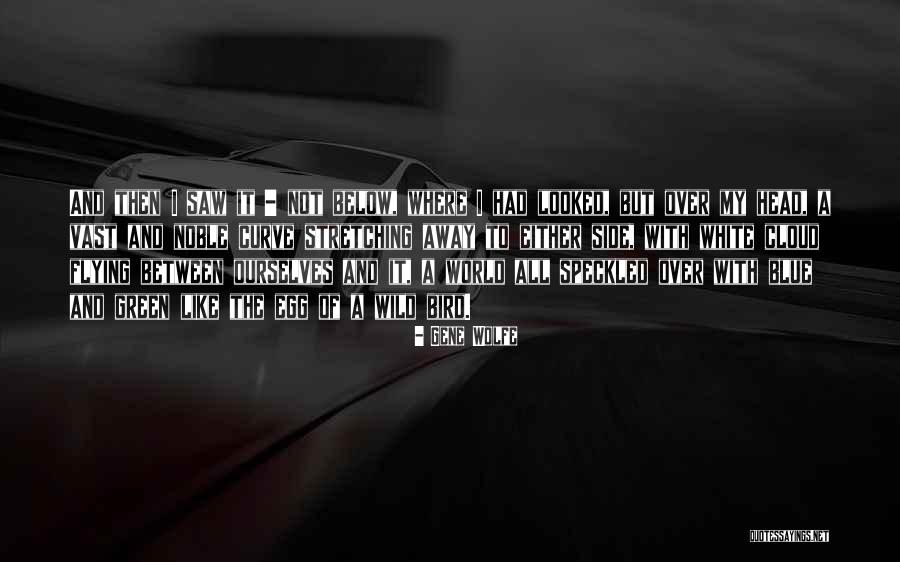 Ilanit Levi Quotes By Gene Wolfe Ilanit Levi Quotes By Gene Wolfe
