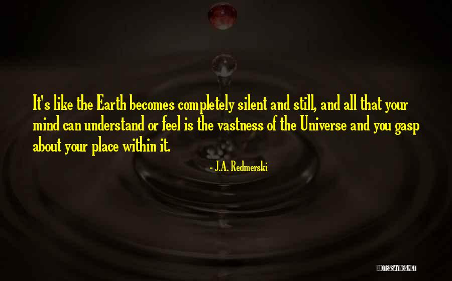 Ilasalle Quotes By J.A. Redmerski Ilasalle Quotes By J.A. Redmerski