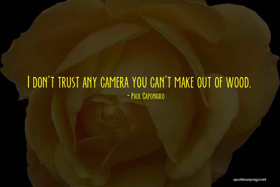 Ilda Saulic Stani Quotes By Paul Caponigro Ilda Saulic Stani Quotes By Paul Caponigro