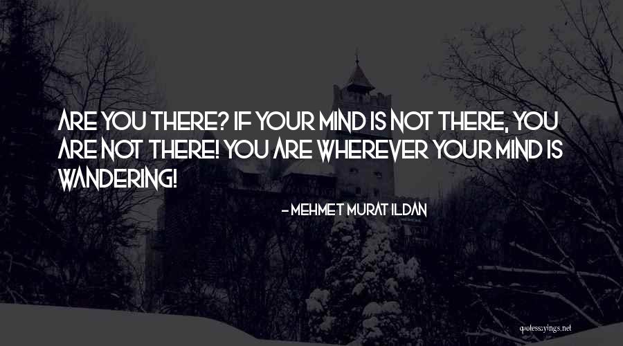 Ildan Sayings Quotes By Mehmet Murat Ildan Ildan Sayings Quotes By Mehmet Murat Ildan