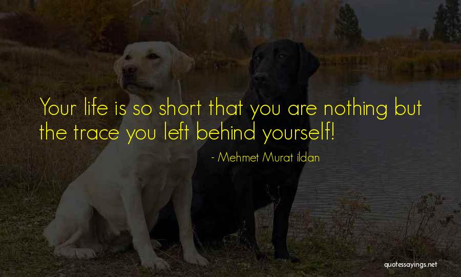 Ildan Sayings Quotes By Mehmet Murat Ildan Ildan Sayings Quotes By Mehmet Murat Ildan