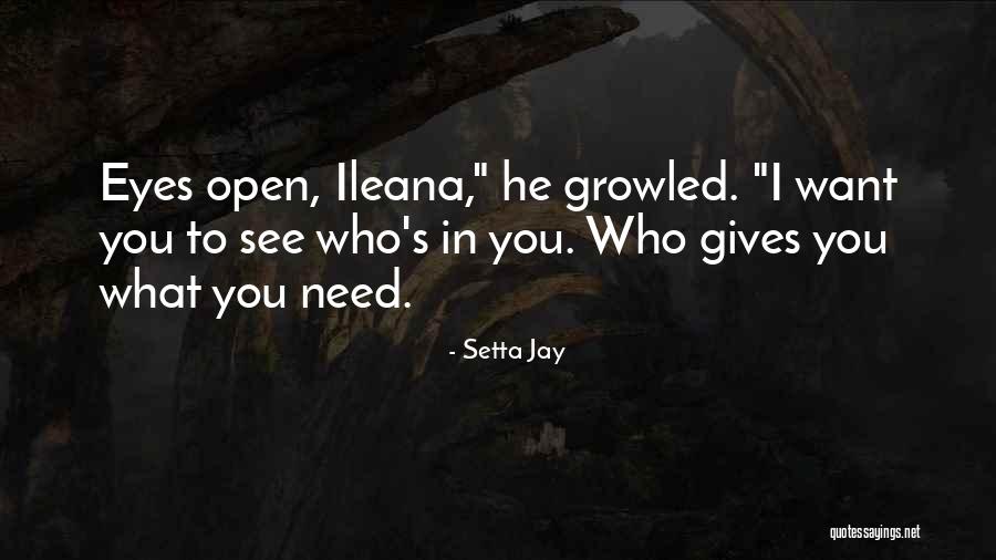 Ileana Quotes By Setta Jay Ileana Quotes By Setta Jay