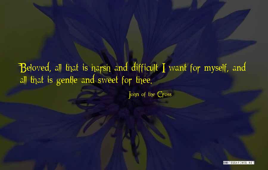 Ileisrcal Valve Quotes By John Of The Cross Ileisrcal Valve Quotes By John Of The Cross