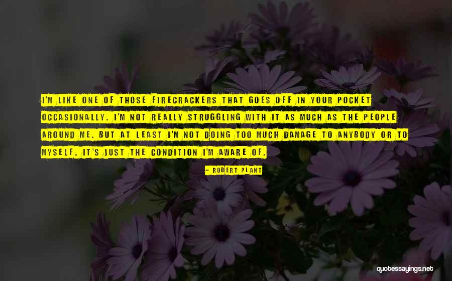 Ilenia Sculco Quotes By Robert Plant Ilenia Sculco Quotes By Robert Plant