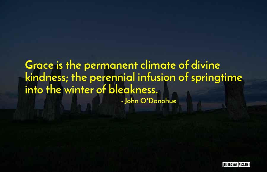 Ilgasnukis Quotes By John O'Donohue Ilgasnukis Quotes By John O'Donohue