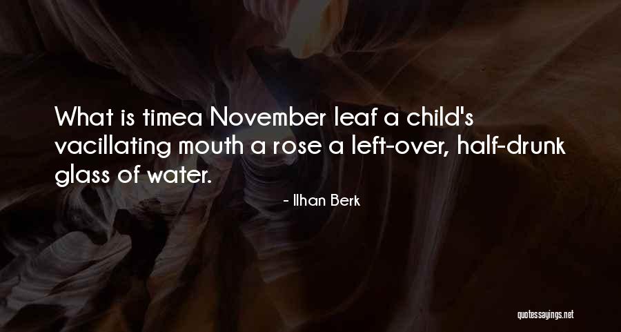 Ilhan Berk Quotes 1112032