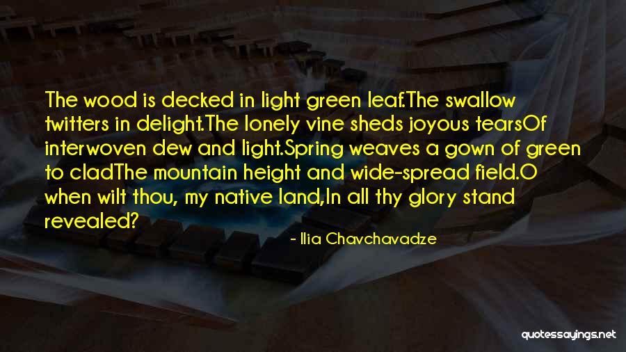 Ilia Chavchavadze Quotes 1400814