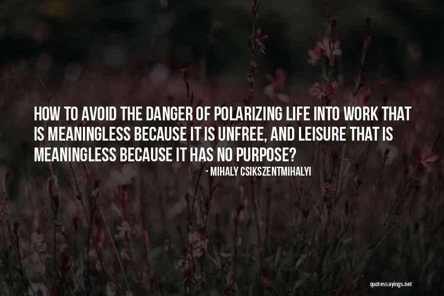 Ilife 11 Quotes By Mihaly Csikszentmihalyi Ilife 11 Quotes By Mihaly Csikszentmihalyi