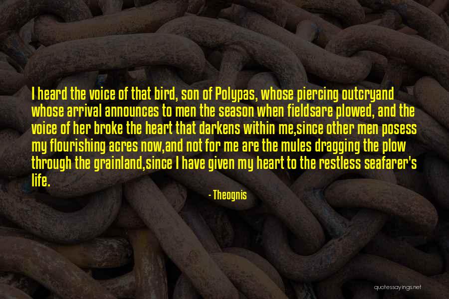 Ilima Macfarlane Quotes By Theognis Ilima Macfarlane Quotes By Theognis
