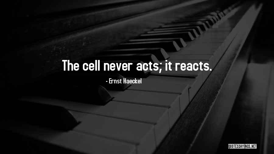Ilima Papa Quotes By Ernst Haeckel Ilima Papa Quotes By Ernst Haeckel