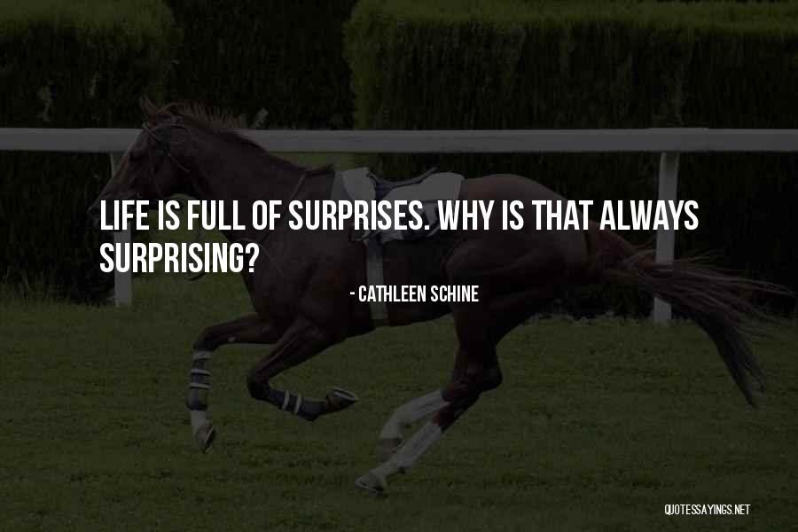 Ilinca Vandici Quotes By Cathleen Schine Ilinca Vandici Quotes By Cathleen Schine
