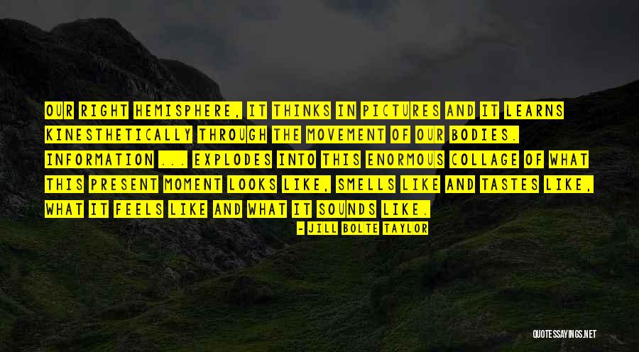 Iliriana Miftari Quotes By Jill Bolte Taylor Iliriana Miftari Quotes By Jill Bolte Taylor