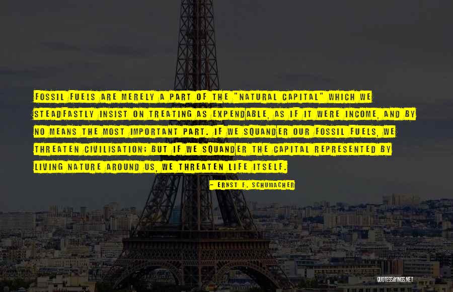 Ilisa Wallach Quotes By Ernst F. Schumacher Ilisa Wallach Quotes By Ernst F. Schumacher