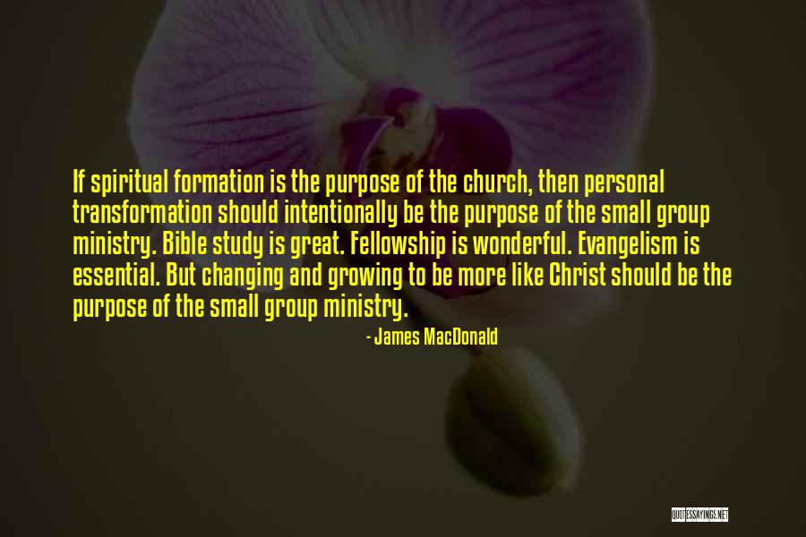 Iliustruoti Quotes By James MacDonald Iliustruoti Quotes By James MacDonald