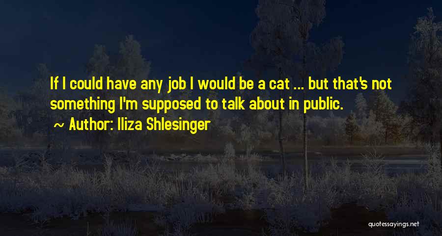 Iliza Shlesinger Quotes 1339623