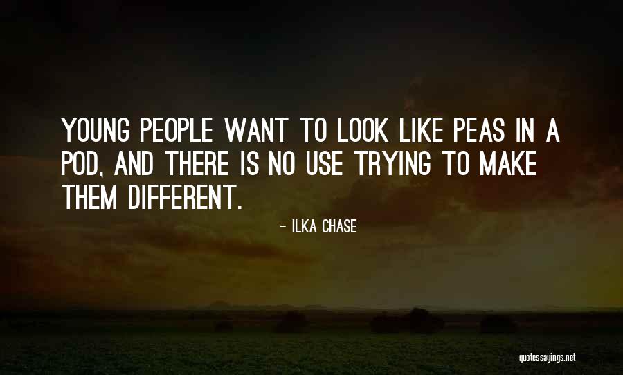 Ilka Quotes By Ilka Chase Ilka Quotes By Ilka Chase