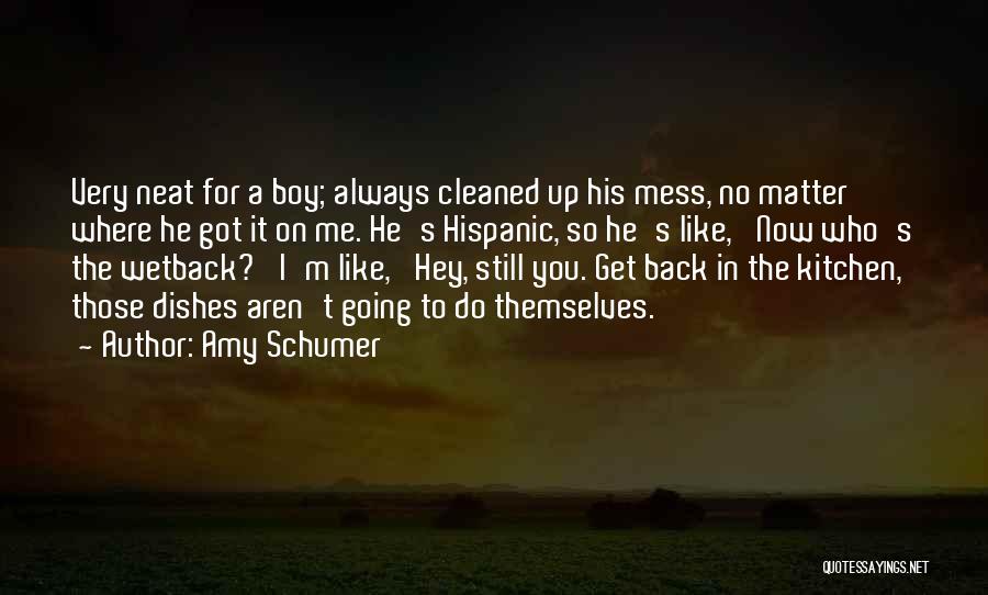 I'll Always Get Back Up Quotes By Amy Schumer