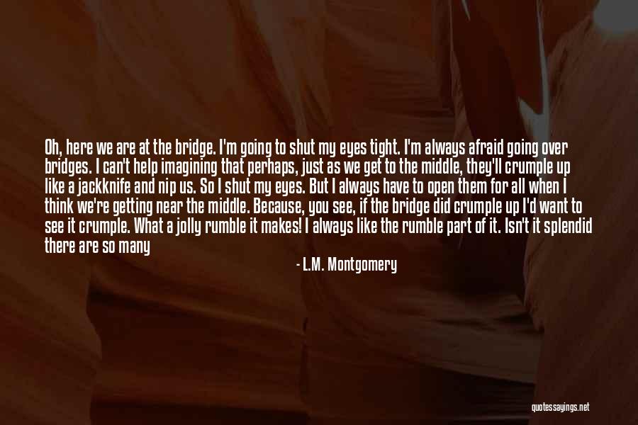 I'll Always Get Back Up Quotes By L.M. Montgomery