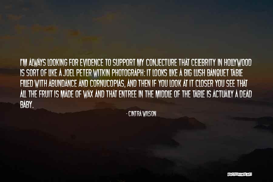 I'll Always Support You Quotes By Cintra Wilson I'll Always Support You Quotes By Cintra Wilson