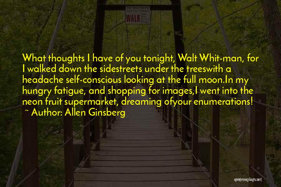 I'll Be Dreaming Of You Tonight Quotes By Allen Ginsberg