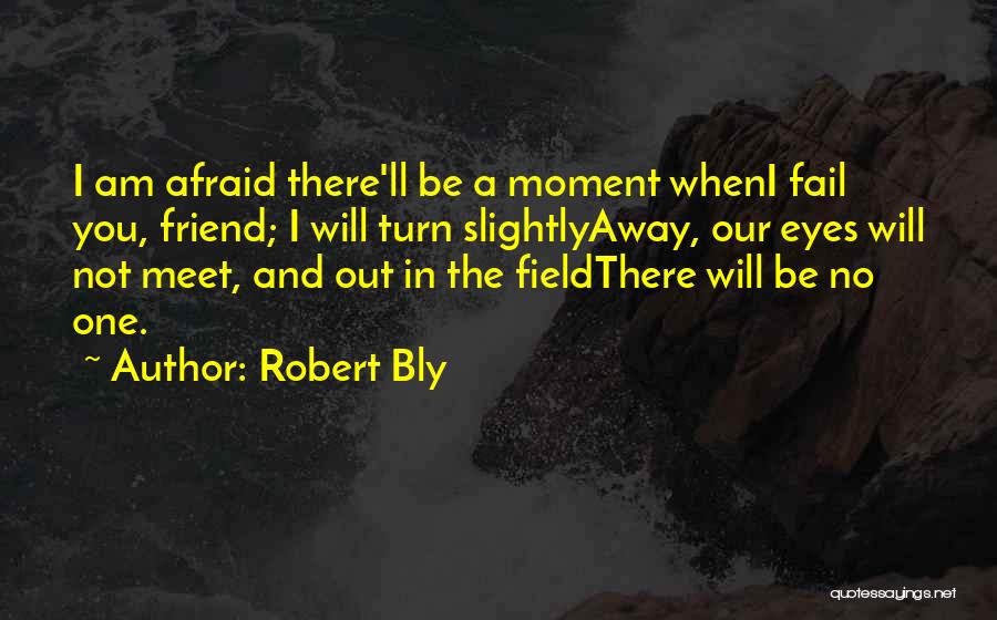 I'll Be There Friend Quotes By Robert Bly