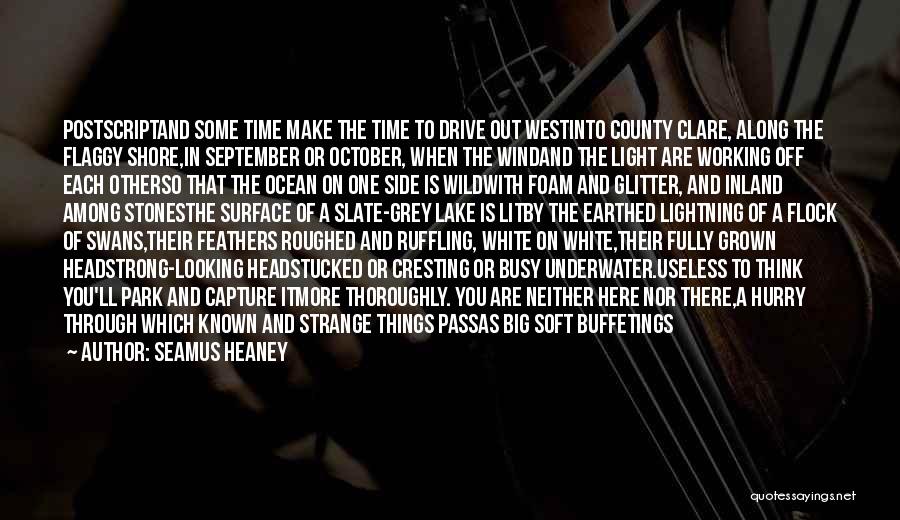 I'll Capture Your Heart Quotes By Seamus Heaney