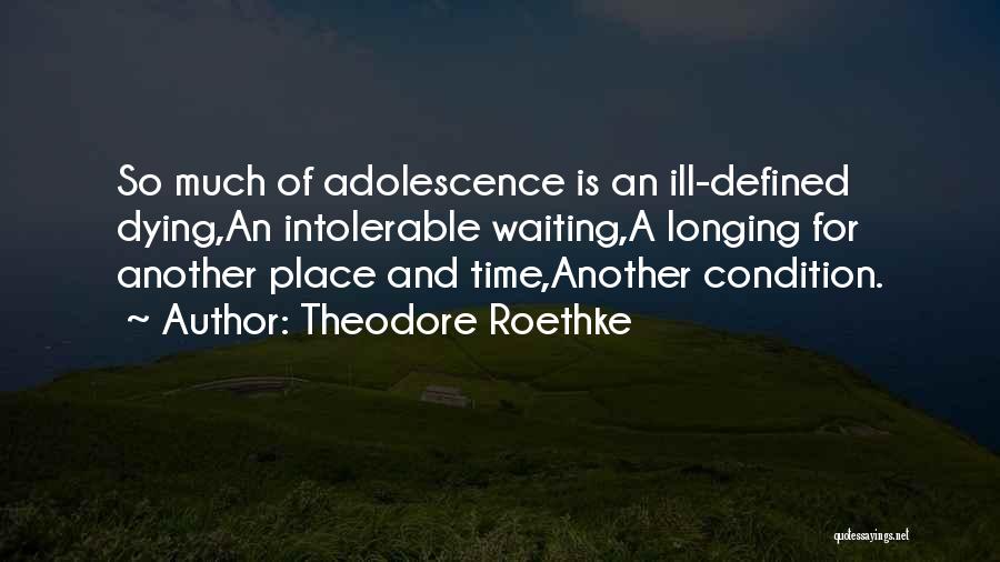 Ill-defined Quotes By Theodore Roethke