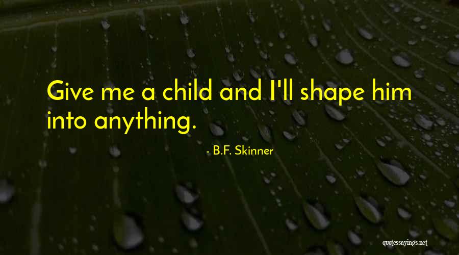 I'll Do Anything For My Child Quotes By B.F. Skinner