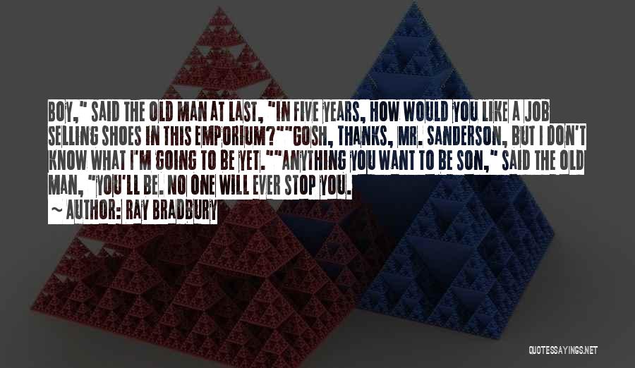 I'll Do Anything For My Son Quotes By Ray Bradbury