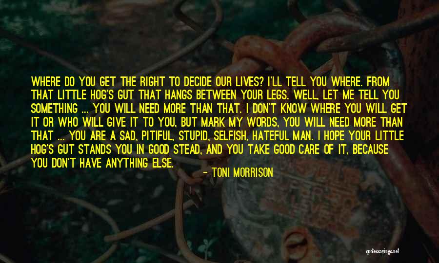 I'll Do Anything To Get You Quotes By Toni Morrison