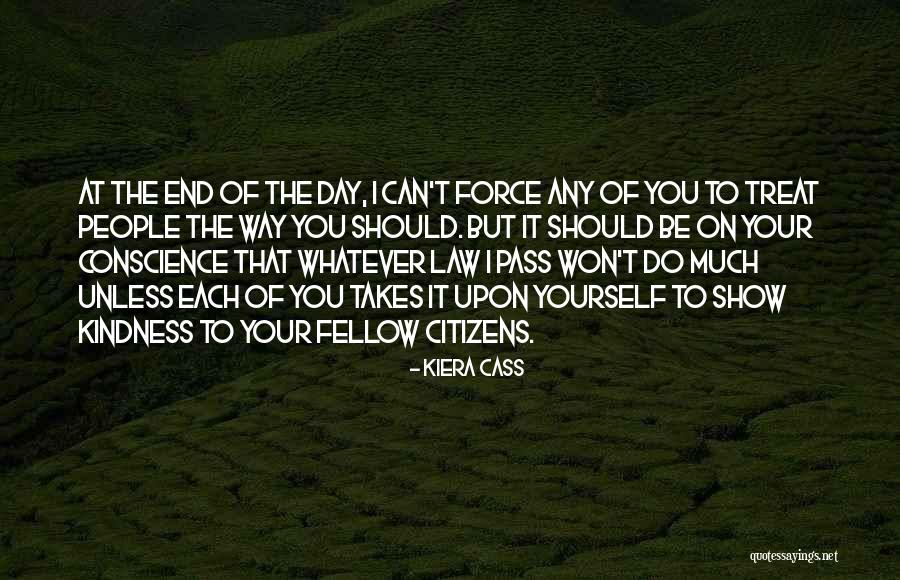 I'll Do Whatever It Takes Love Quotes By Kiera Cass