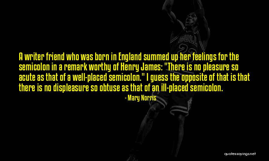Ill Feelings Quotes By Mary Norris Ill Feelings Quotes By Mary Norris