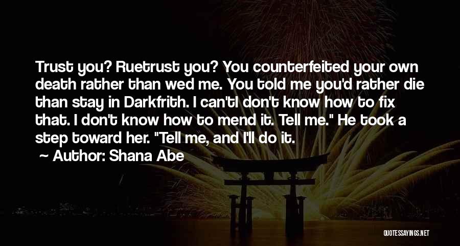 I'll Fix You Quotes By Shana Abe