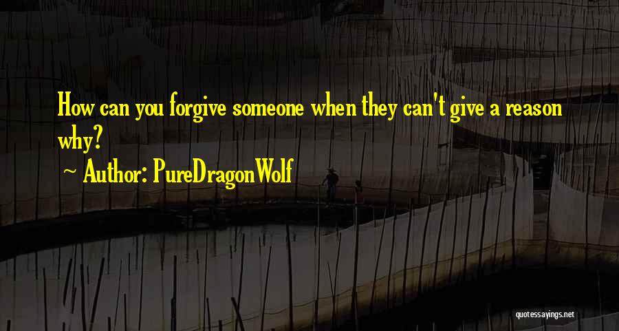 I'll Forgive You But I Can't Forget Quotes By PureDragonWolf