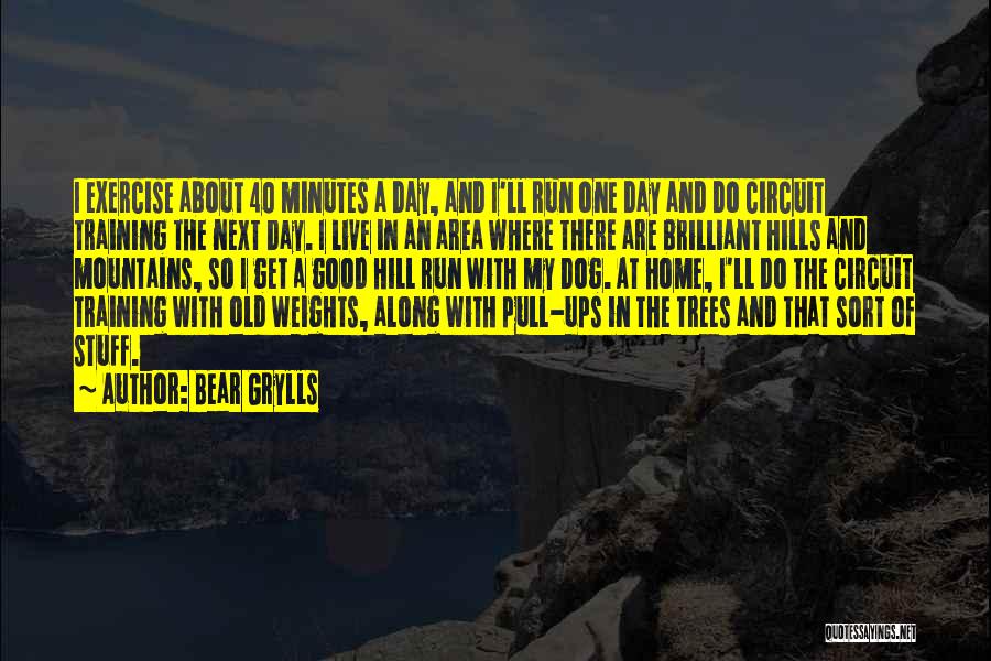 I'll Get There One Day Quotes By Bear Grylls