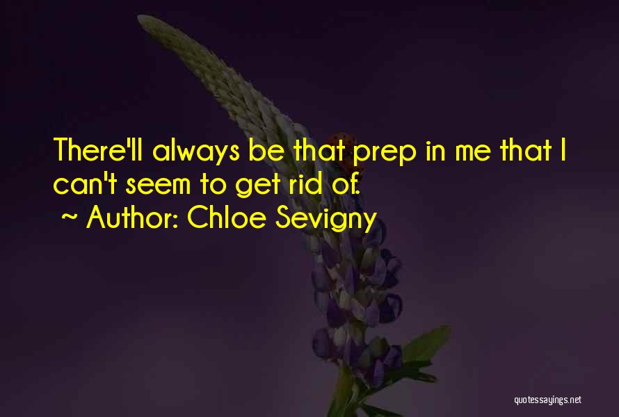 I'll Get There Quotes By Chloe Sevigny