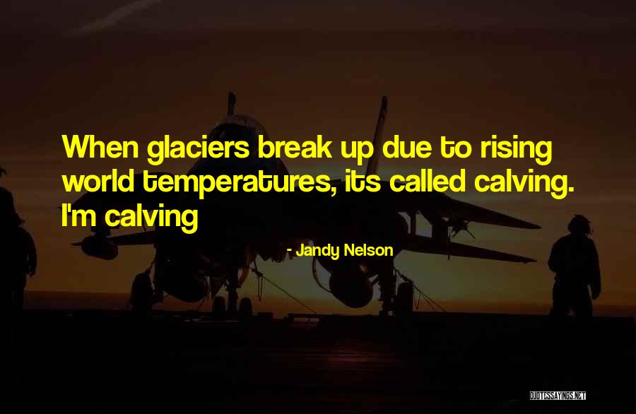 I'll Give You The Sun Quotes By Jandy Nelson