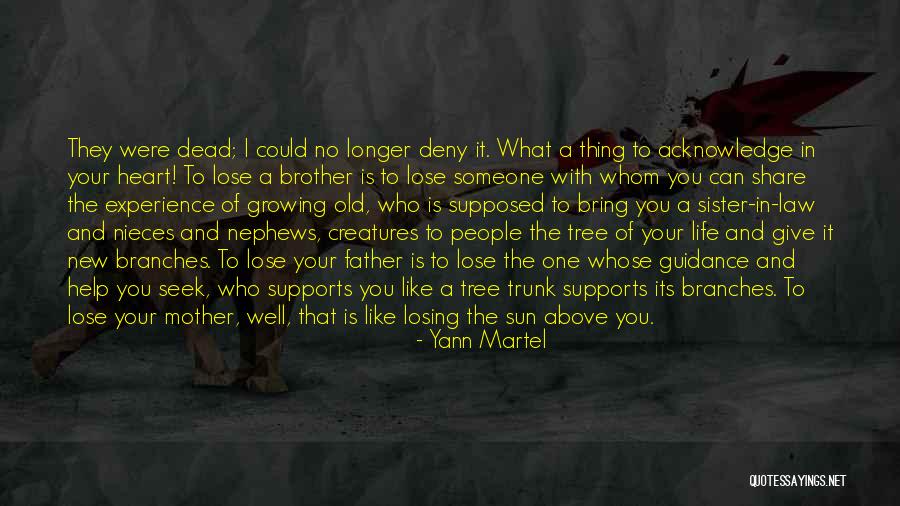 I'll Give You The Sun Quotes By Yann Martel